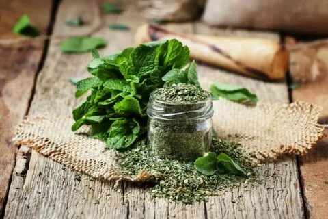 قیمت و فروش عمده نعنا خشک + خرید ارزان